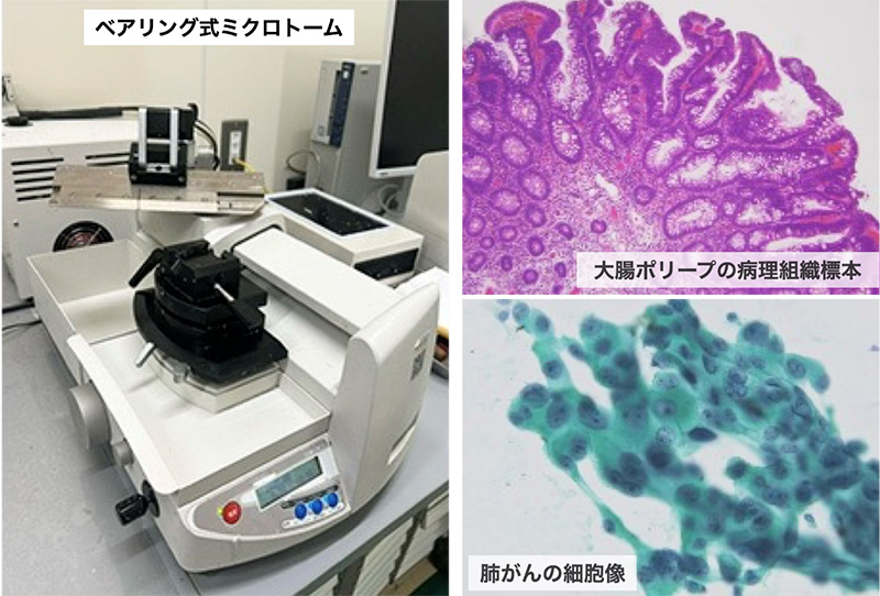 病理・細胞診検査